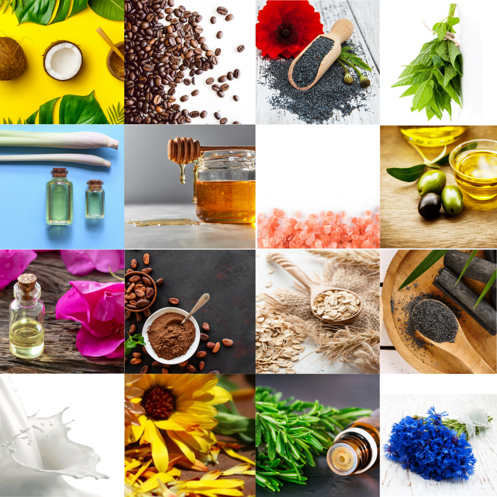 Pure for You offers Australian made premium hand-made goat milk soap (highest milk content 40%) and vegan soaps that will never leave your skin dry! Pamper yourself with skin food, not just soap. The best natural skincare products containing pure essential oils, farm fresh goat milk and many more with no chemicals!